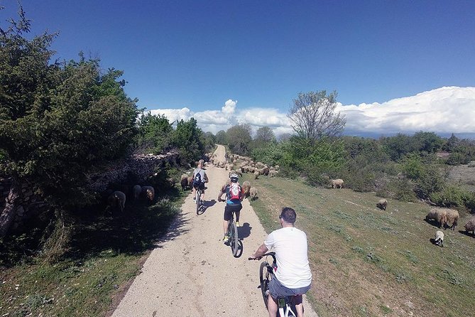 Krka Nationa Park by Electric Bike - Price