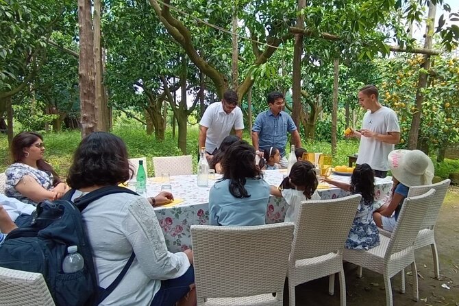 Lemon Experience in a Sorrento Farm With Harvesting and Tasting - Frequently Asked Questions