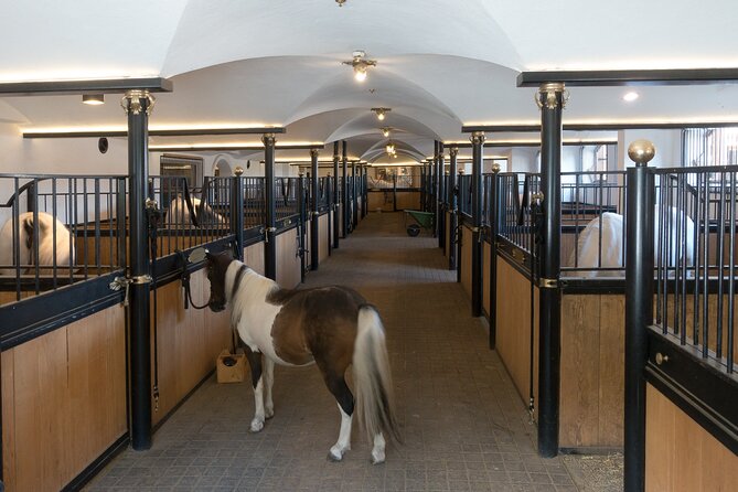 Lipica Stud Farm & Skocjan Caves - Small Group Tour From Koper - Customer Reviews