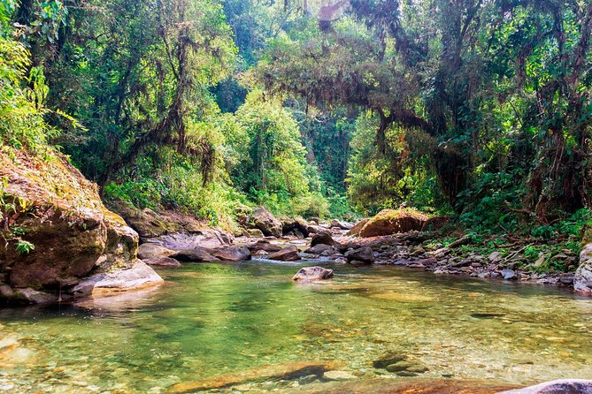 Lost City Trek (Ciudad Perdida) - 4 Days - From Santa Marta or Taganga - The Sum Up