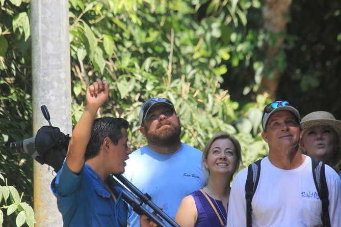Manuel Antonio National Park Tour - What To Expect