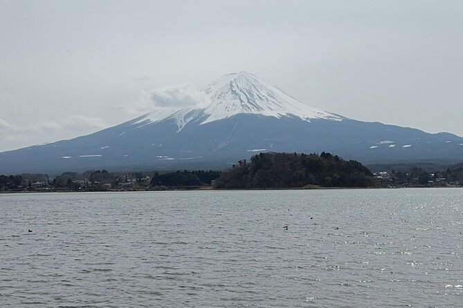 Mount Fuji and Surroundings Full Day Private Tour - Pickup Details