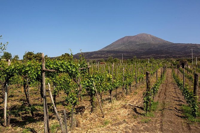 Mount Vesuvius & Wine Tasting With Lunch Private Tour From Amalfi Coast - Pickup Locations