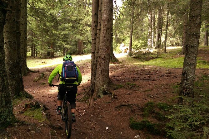 Mountain Bike Day Tour Around Brasov - Gear and Guides