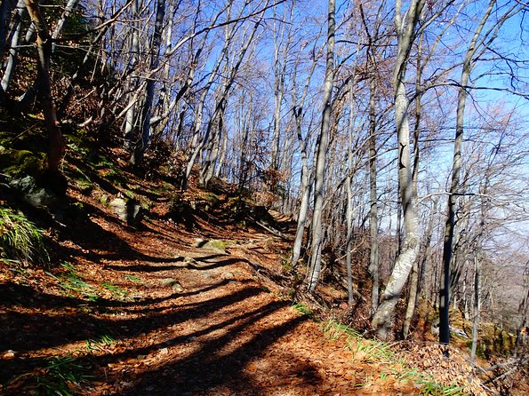 Mt. Vitosha and Boyana Waterfall Hiking Tour From Sofia - How to Book