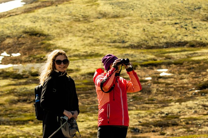 Muskox Safari From Hjerkinn | Dovre & Lesja Aktiv - Frequently Asked Questions