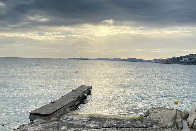 Mykonos Safari Island Tour - According To The Locals - Tour Itinerary
