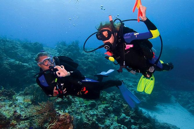 Non Certified Diving Experience Plus Transportation - The Sum Up