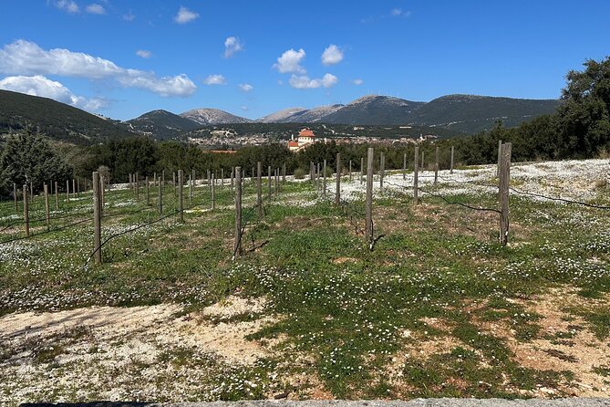 Off-Road Wine Fiesta at Cephalonia - Meeting Information