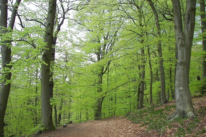 Paklenica National Park Admission Ticket - Reviews