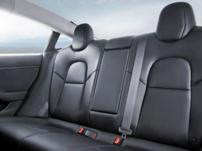 Paris: Private Tesla⚡️ Transfer To/From Disneyland - Driver and Pickup Details