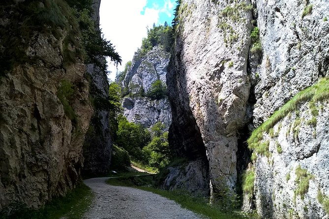 Perfect Bike Tour Around Brasov - Frequently Asked Questions