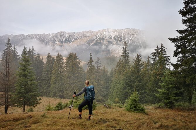 Pestera and Magura Full-Day Private Walking Tour From Brasov - Price and Booking