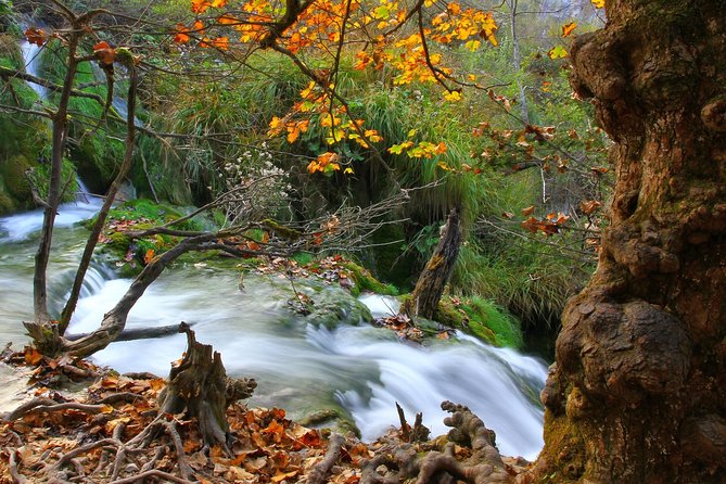 Plitvice Lakes Best of Tour - Pricing Information