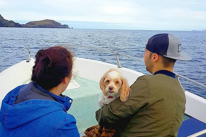 Ponta De São Lourenço Boat Tour - Frequently Asked Questions