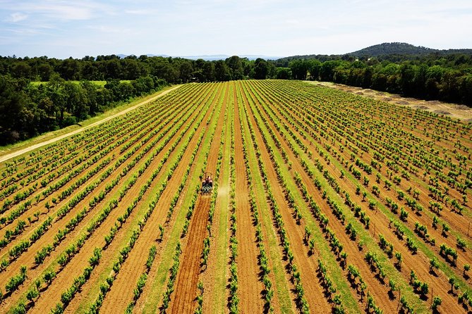 Private 4x4 Ride in a Wine Estate Followed by a Tasting - Additional Information
