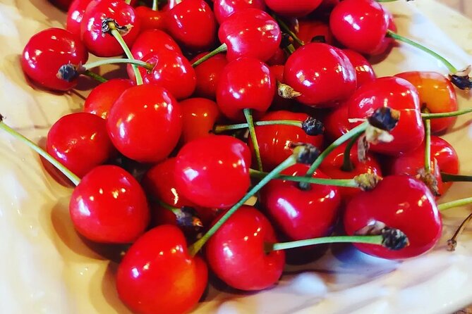 Private Authentic Family Farm to Table Culinary Tour From Split - Tour Highlights