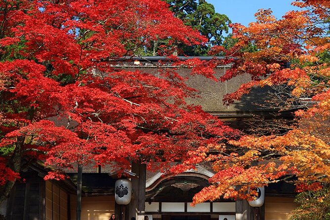 Private Customizable Tour in Wakayama - Start Time and Cancellation Policy