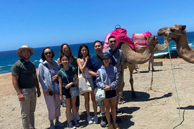 Private Day Tour in Gibraltar and Tangier, Morocco From Malaga - Directions