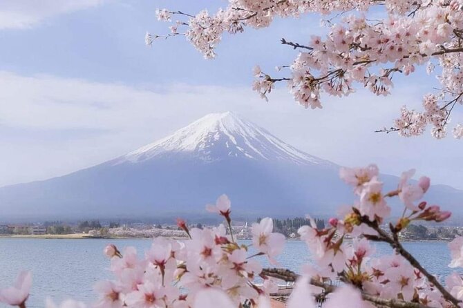 Private Day Tour in Mount Fuji From Tokyo - Meeting and Pickup Details