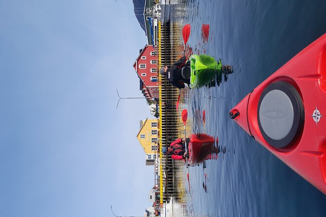 Private: Guided Kayak Tour in Siglufjörður / Siglufjordur. - Frequently Asked Questions