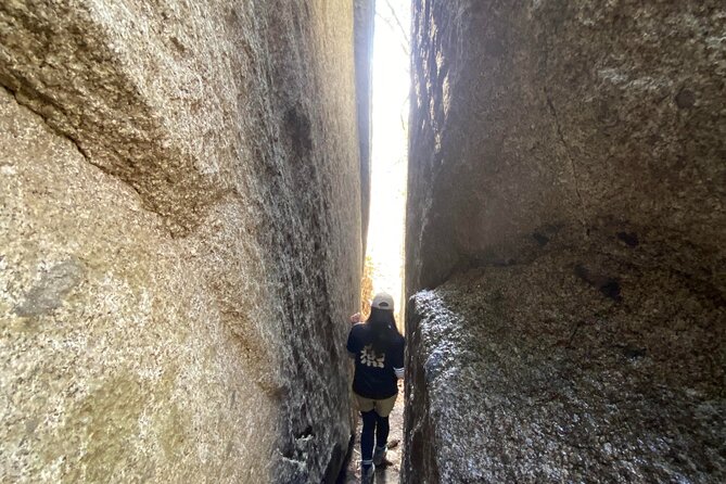 Private Hiking Tour to View Mt. Fuji - Cancellation Policy