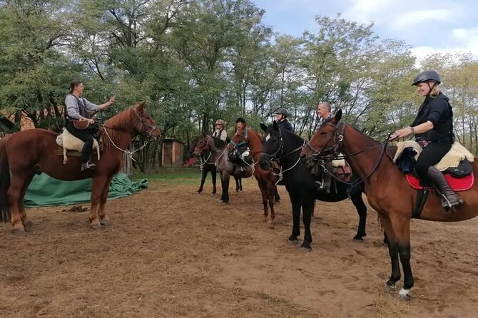 Private Horse Riding Near Budapest With Lunch and Transport - Cancellation Policy