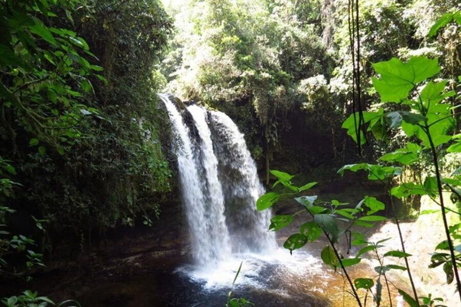 Private Horseback Riding Tour to Tres Chorros Waterfall - Experience the Tres Chorros Waterfall