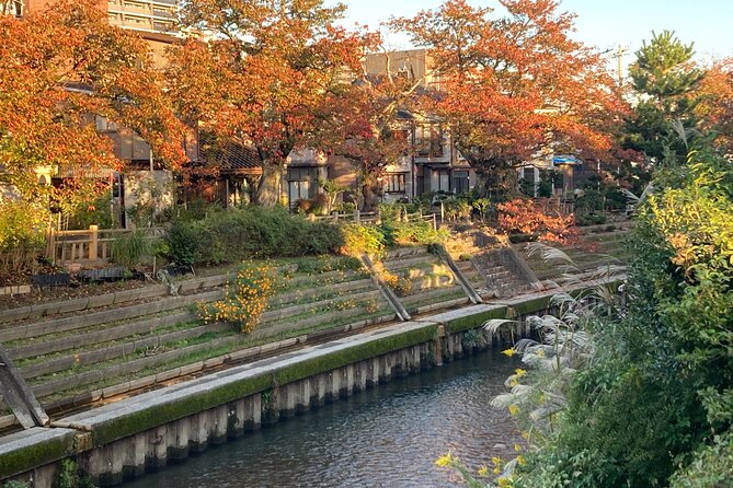 Private Kimono Stroll in Toyama City Possibly With a Shiba Inu - Additional Services