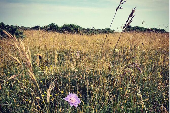 Private Salisbury Plain Off-Road Tour - Price and Booking Information