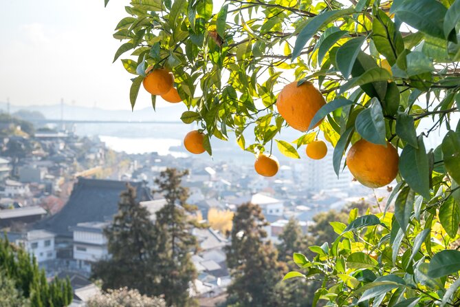 Private Tour by Hire: Onomichi Local Experience ＆ Island Cycling - Directions