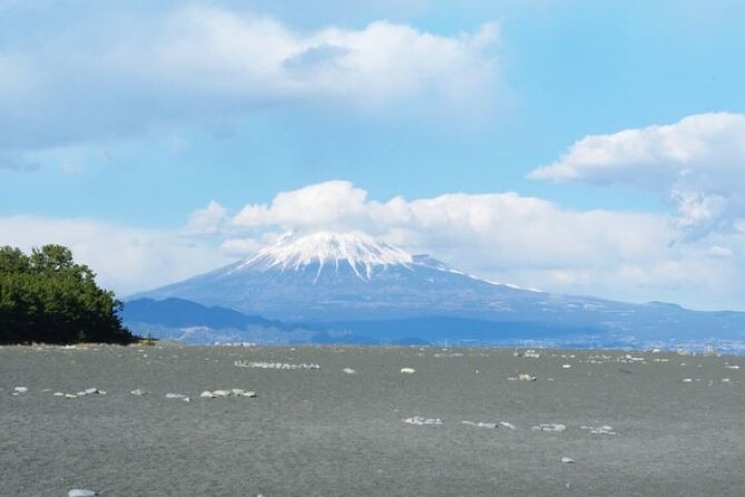 Private Tour From Kunozan Toshogu Shrine to Miho Matsubara - Culinary Experience