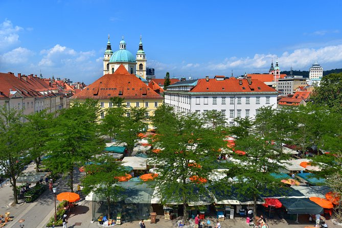 Private Walking Tour of Ljubljana Old Town - Inclusions and Accessibility