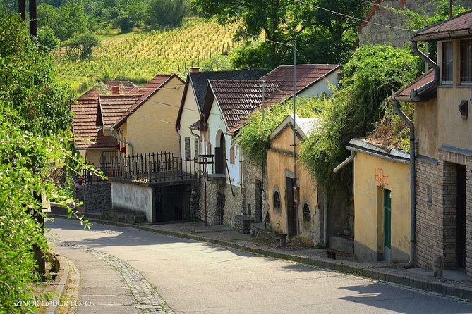 Private Winetasting and Sightseeing Tour to Eger, Home to Bulls Blood Wine! - Accessibility Information