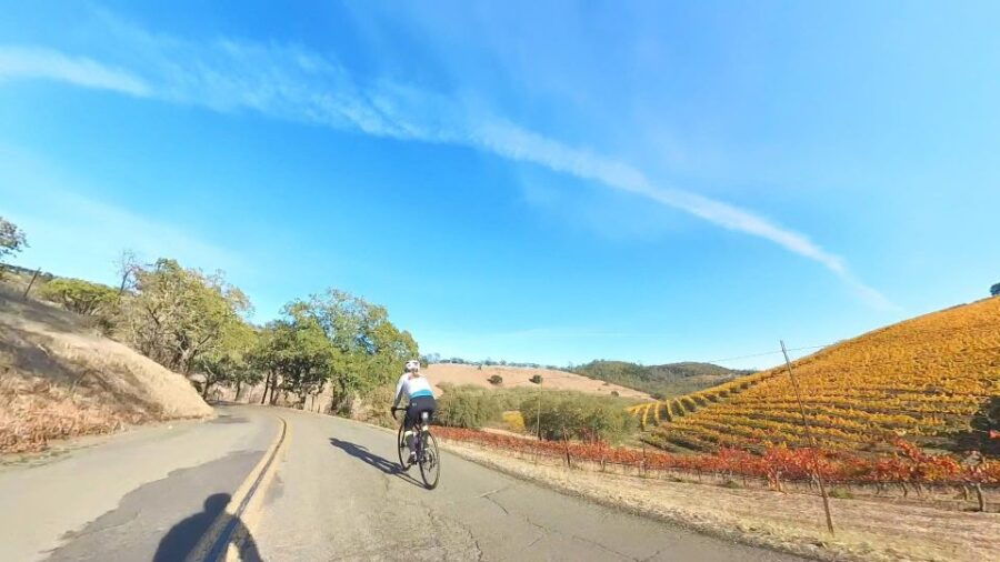 Ride With a Winemaker in Napa Valley