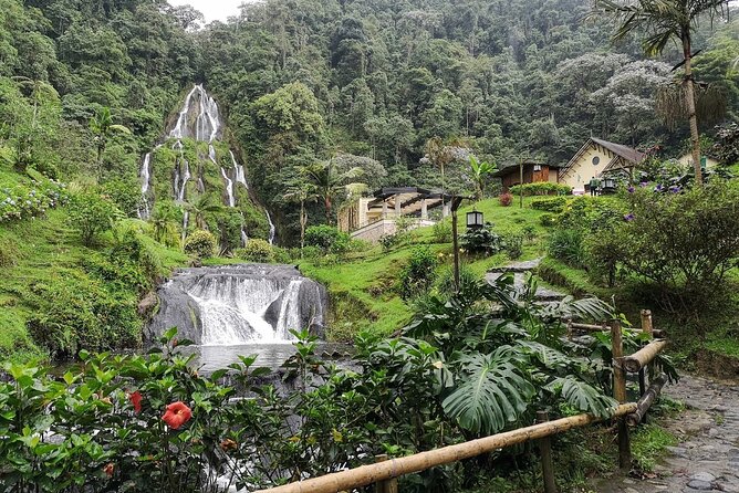 Santa Rosa De Cabal and Hot Springs Day Trip - Trip Overview