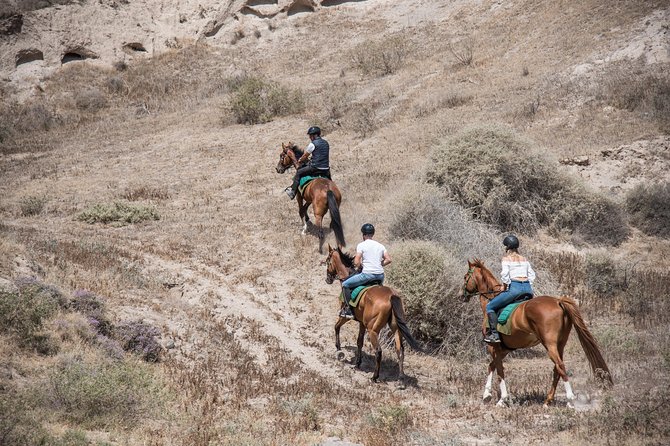 Santorini Horse Riding to Black Sandy Beach - Additional Info