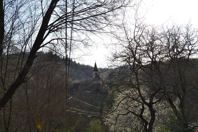 Saxon Heritage in Transylvania: Day Trip From Cluj-Napoca - What To Expect