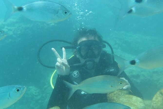 Scuba Diving Tour in Alanya - What to Expect