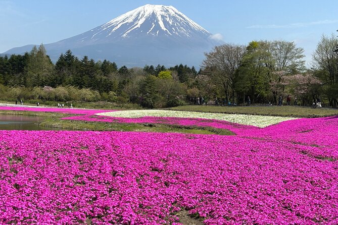 Shuttle Van Tour Mt.Fuji＆Surroundings, or Mt.Fuji&Gotemba Premium - Location and Plans