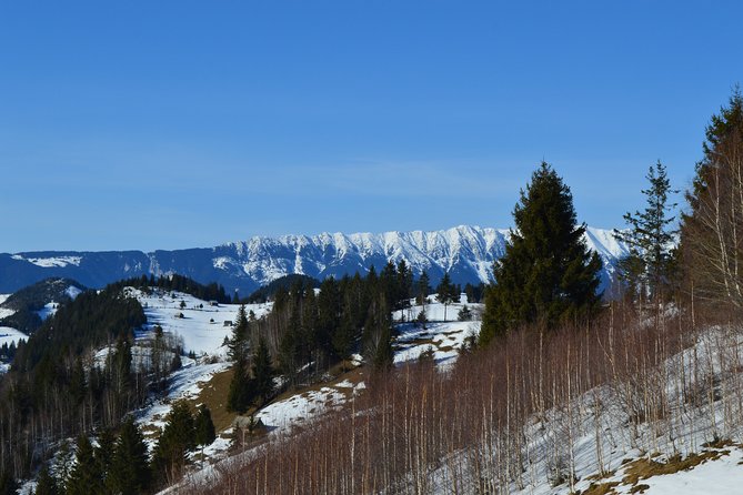 Sibiu to Bucharest - Private Guided Transfer - Car and Driver - Cancellation Policy Overview