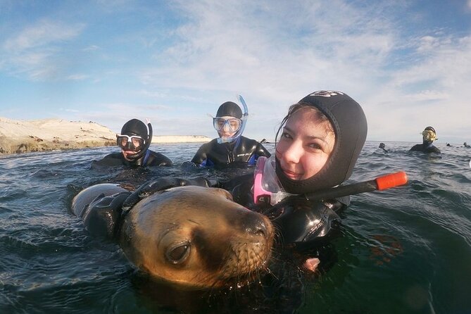 Snorkeling With Sea Lions and Wildlife Adventure - Inclusions and Exclusions