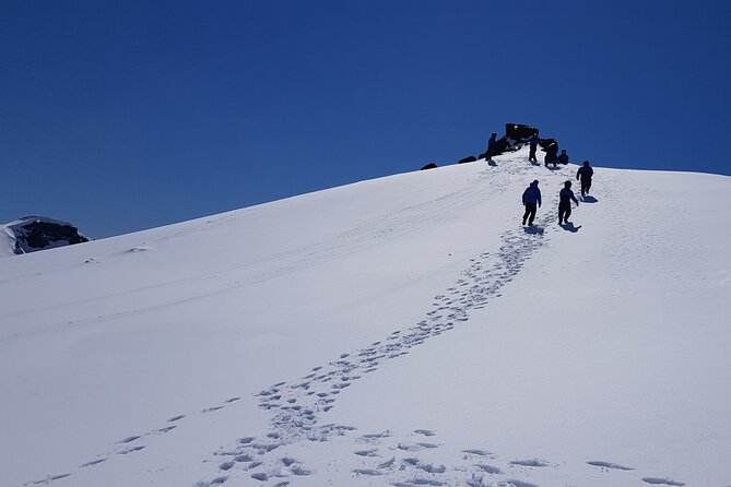 Snowmobile Tour on Vatnajökull - Customer Review Highlights