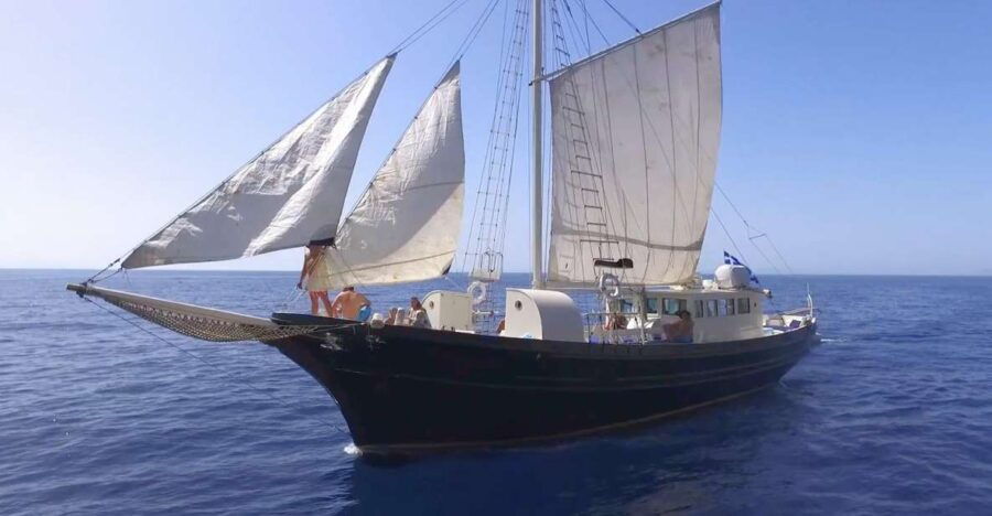 Sounio: Sun&Sea Full Day Exclusive Cruise With Lunch & Music - Good To Know