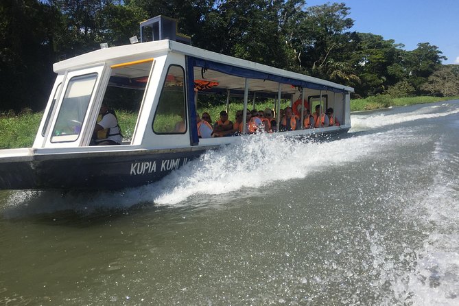 Tamarindo Estuary Boat Ride Tour 2 Hours - Tour Logistics