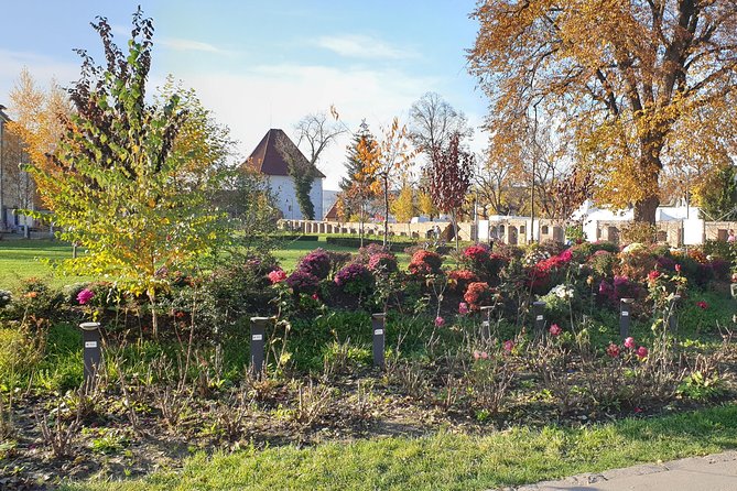 Targu Mures 3 Hours Walking Tour - The Sum Up
