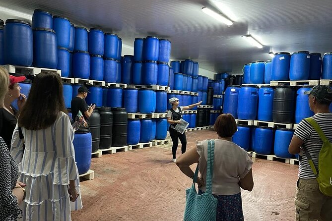Tavira Olive Experience Factory Tour and Tasting - Sensory Experience With Flavors