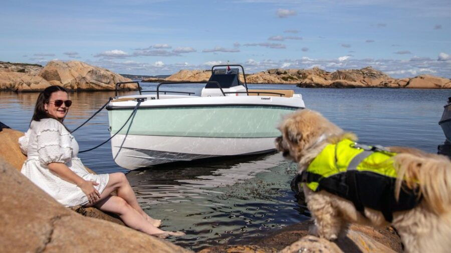 Tenerife: Rent a Boat Without License