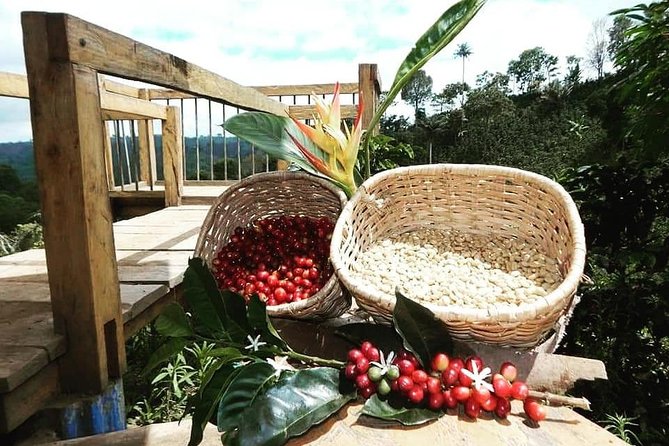 The Acacias Coffe Farm - Cancellation Policy