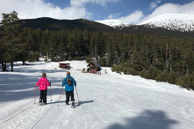 The Best of Bansko: Magical Snowshoeing Adventure & SPA - Reviews